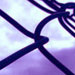 Protect your computer network with Network Security Services by prowisetech in Sydney,
